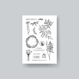 Botanica Atbp. Clear Stamp - ink scribbler